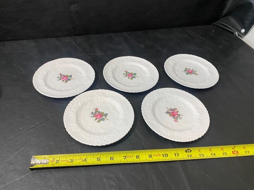 Spode bone china - spode,